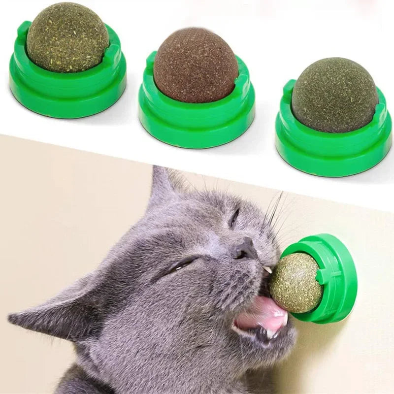 Tomhat Natural Catnip Scratching Post for Cat Scrapers Cat Wall Sticker Ball Toy Scraper