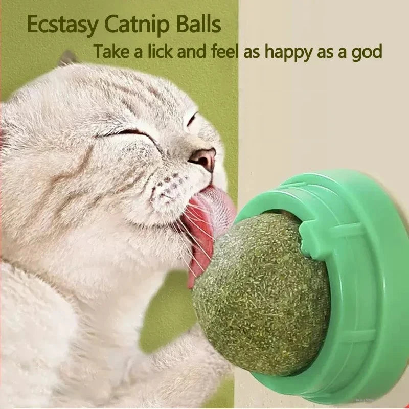 Tomhat Natural Catnip Scratching Post for Cat Scrapers Cat Wall Sticker Ball Toy Scraper