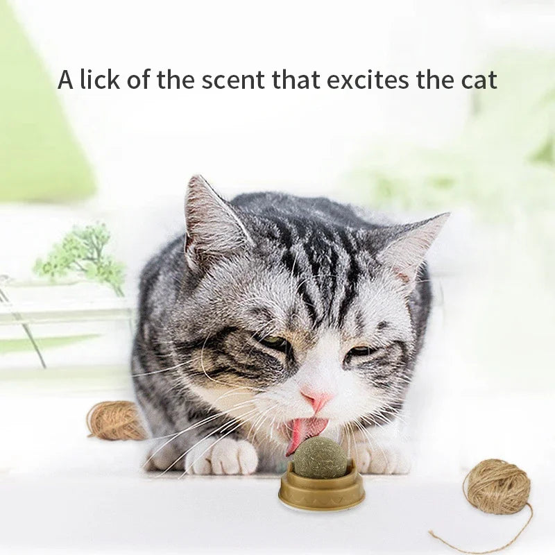 Tomhat Natural Catnip Scratching Post for Cat Scrapers Cat Wall Sticker Ball Toy Scraper