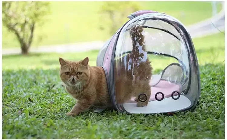 Tomhat Expandable Cat Carrier Backpack Large Transparent Pet Carrier Travel Backpack Bubble Space Capsule High Quality Pet Travel Bag