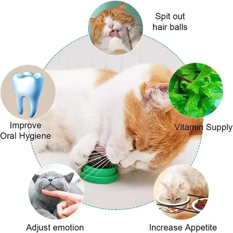 Tomhat Natural Catnip Scratching Post for Cat Scrapers Cat Wall Sticker Ball Toy Scraper